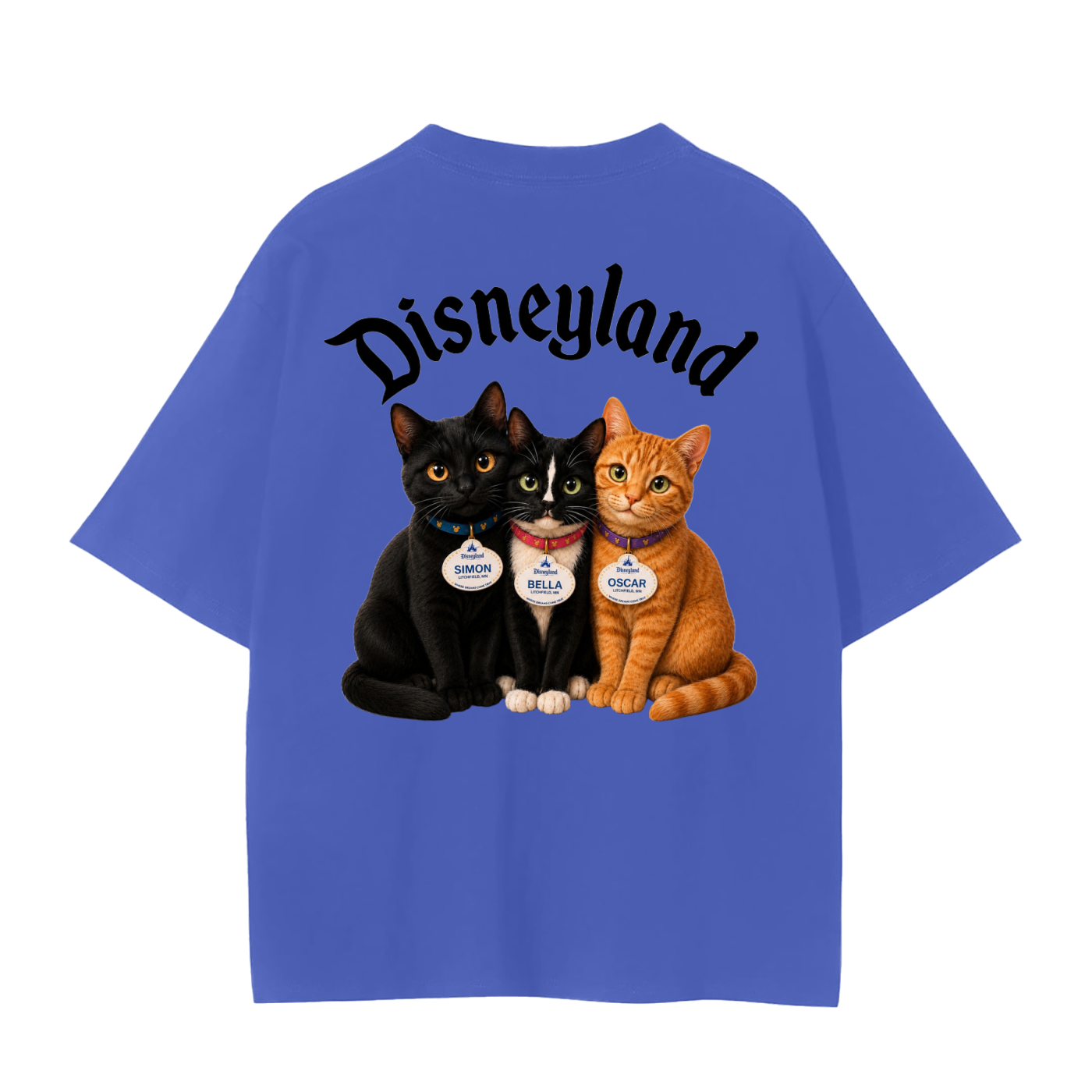 Adam’s Disney cats- adult unisex Seamless T-Shirt
