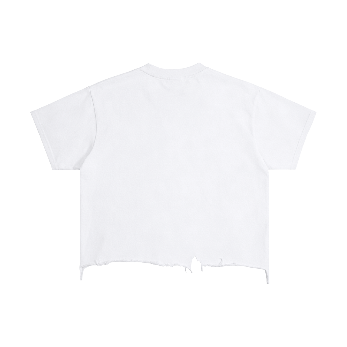 Jax- adult unisex Vintage Wash Boxy Distressed Hem T-Shirt