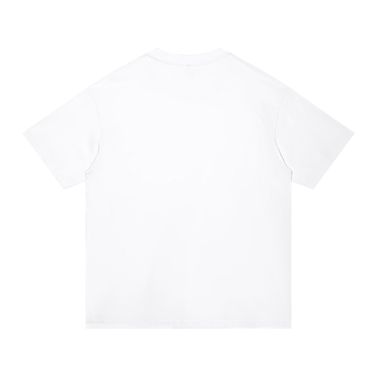Gambling pronouns- adult unisex Regular Fit Cotton T-Shirt