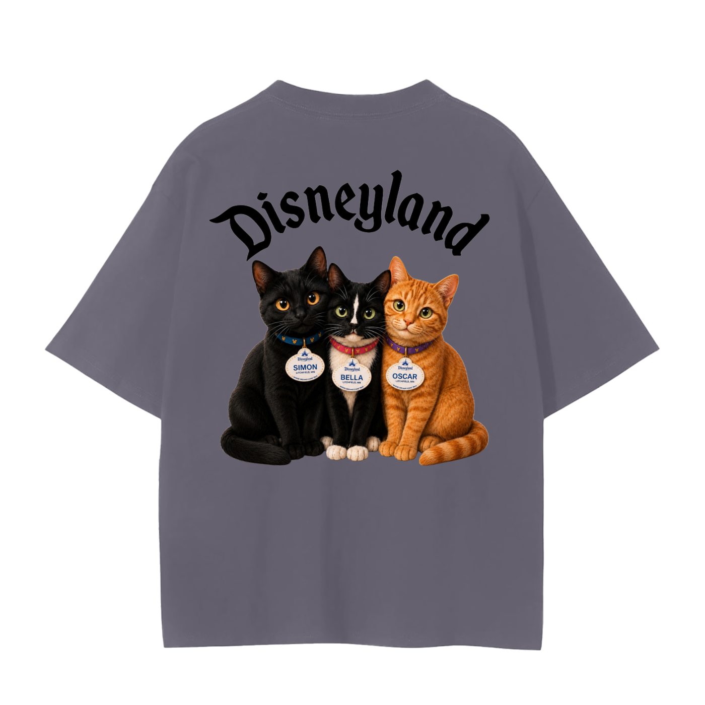 Adam’s Disney cats- adult unisex Seamless T-Shirt